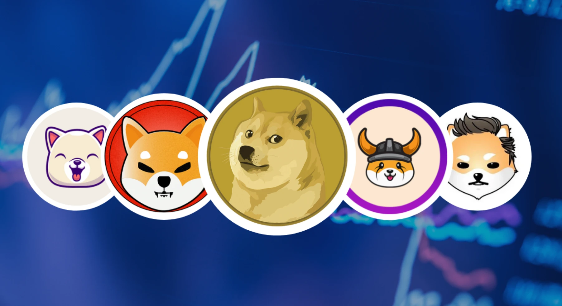 Meme币暴涨暴跌为何如此疯狂？普通投资者能参与吗？