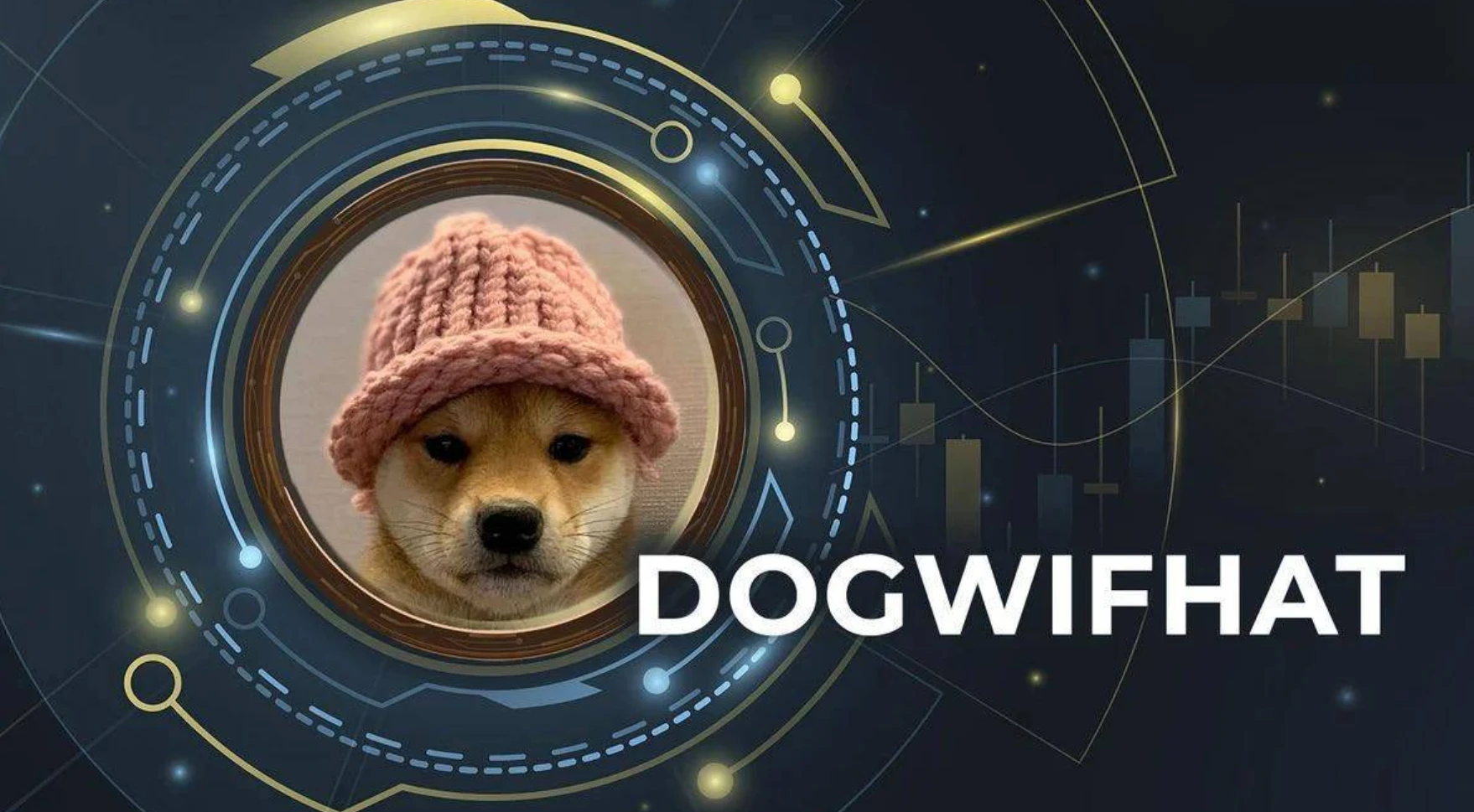 Dogwifhat领涨加密市场，与主流币种博弈如何？